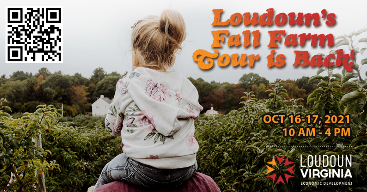 girl on shoulders of man in farm while at loudoun fall farm tour